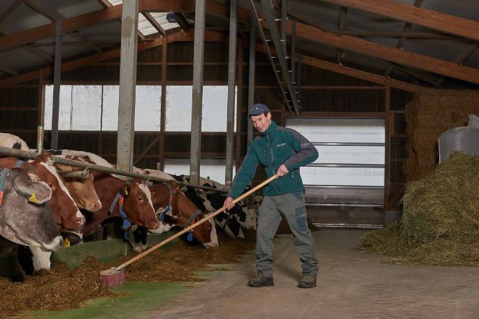 GG Näf, Thomas Näf, Buttwil_Stall_5