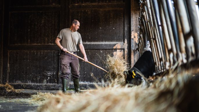 Glaendhof_Hofer_Rothrist_Arbeit