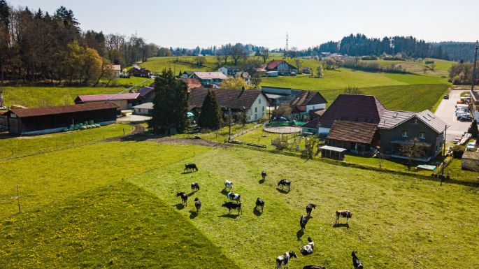 Glaendhof_Hofer_Rothrist_Drohne-2