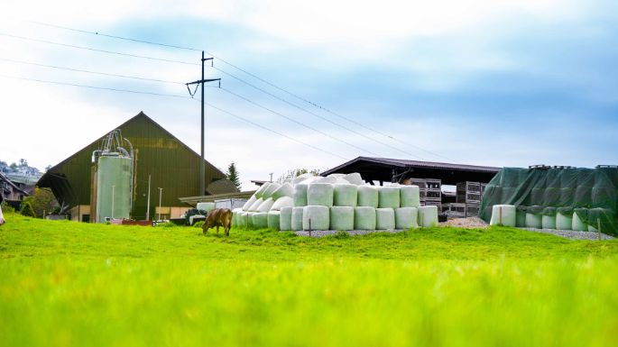 Grossmatt_Staubli-Wildi_Unterlunkhofen (5 von 6)