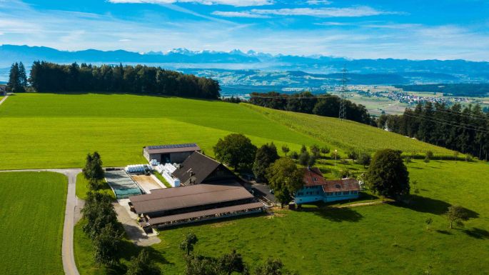 Gschweichhof_Geisseler_Triengen_Drohne