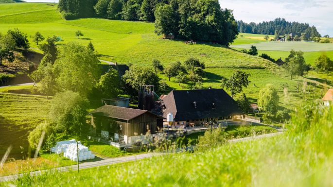 Hämmenhof_Kohler_Walterswil_Hof