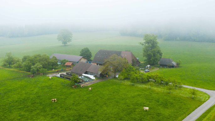 Hager_Minder_Auswil_Drohne