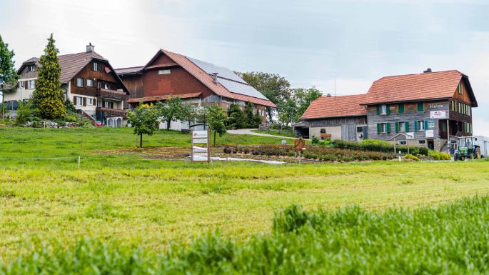 Halde_Niederberger_Hildisrieden_Hof