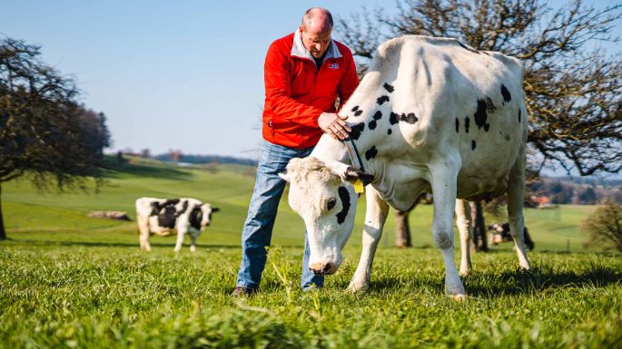 Haldenstall_Krebs_Forch_Arbeit