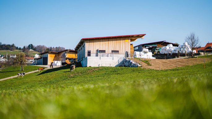 Haldenstall_Krebs_Forch_Hof