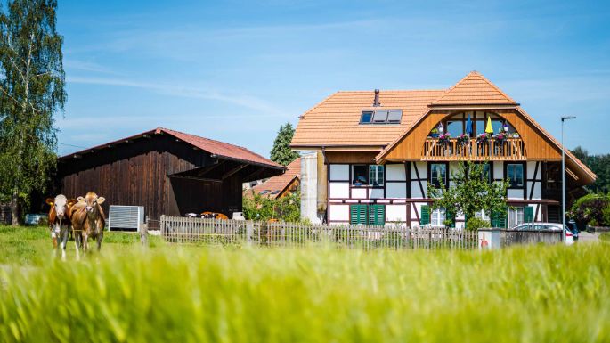 Hölzli_Bolz_Dieterswil_Hof