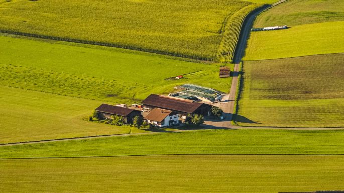 Hof Baltensperger_Baltensperger_Brütten_Drohne