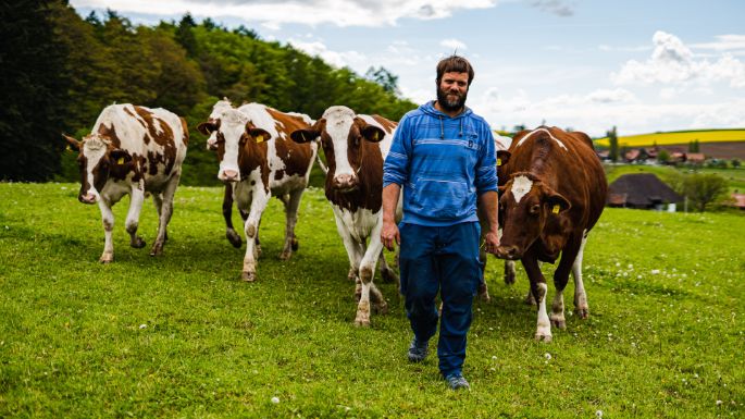 Bannholz_Schweizer_Koeniz_Arbeit