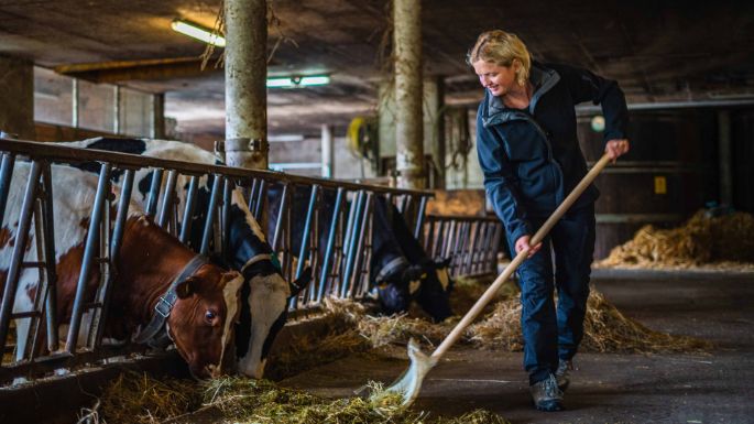 Hof Basler_Basler_Küttigen_Arbeit