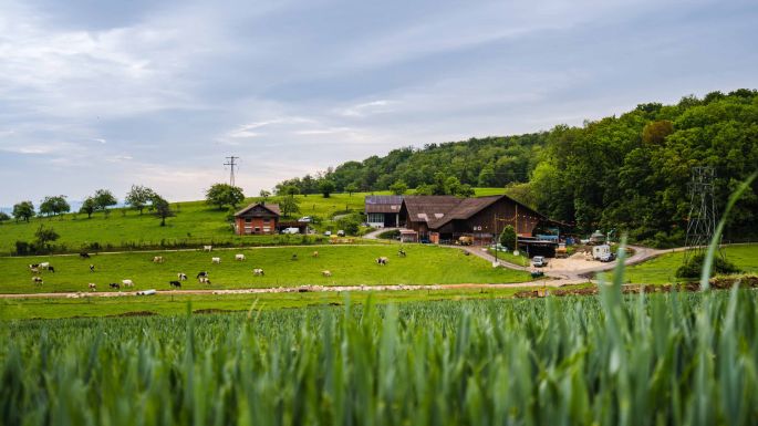 Hof Basler_Basler_Küttigen_Hof