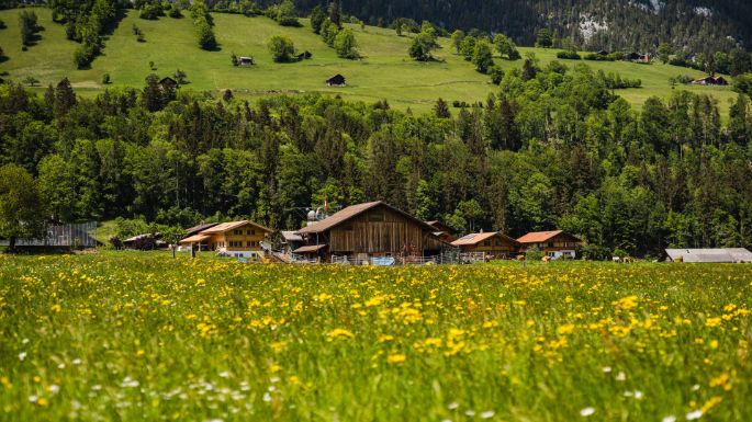 Hof Bieri_Bieri_Boltigen_Hof