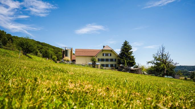 Hof Flückiger_Flückiger_Oftringen_Hof