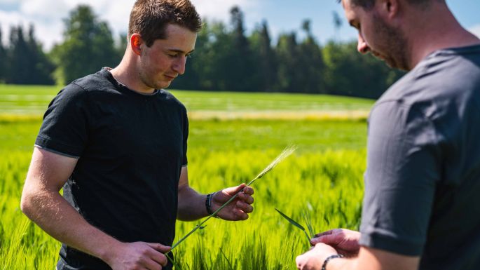 Hof_Gilgen_Gilgen_Oberwangen_Arbeit