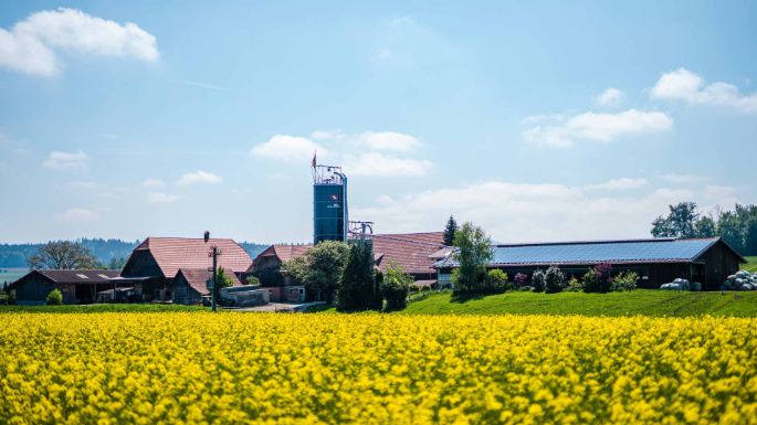 Hof_Gilgen_Gilgen_Oberwangen_Hof