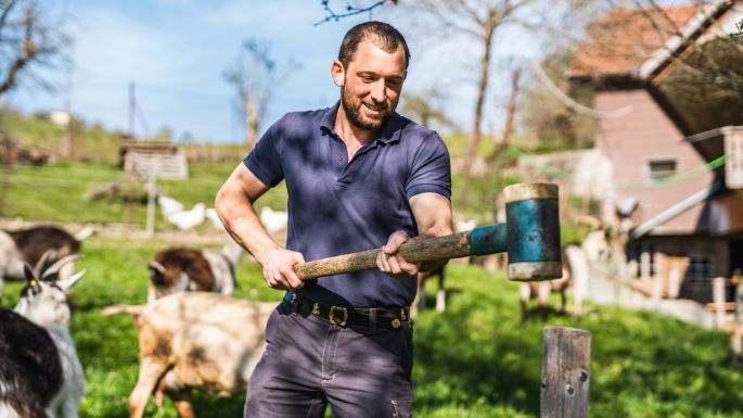 Hof_Häfliger_Häfliger_Speiser_Fischbach_Arbeit