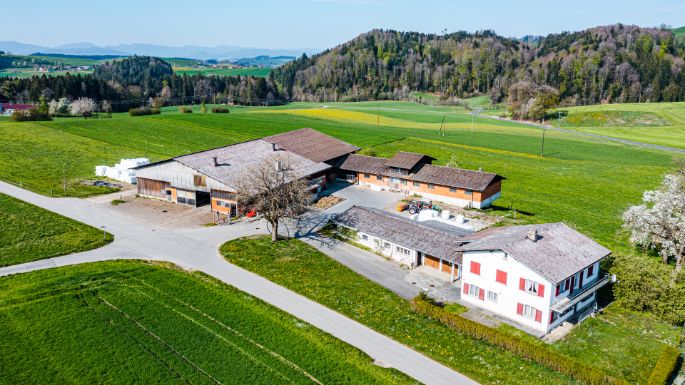 Hof_Häfliger_Häfliger_Speiser_Fischbach_Drohne-2