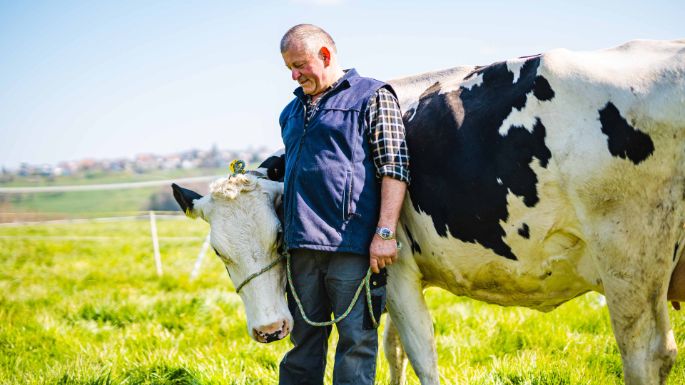 Hof_Hofstetter_Hofstetter_Aesch_Arbeit