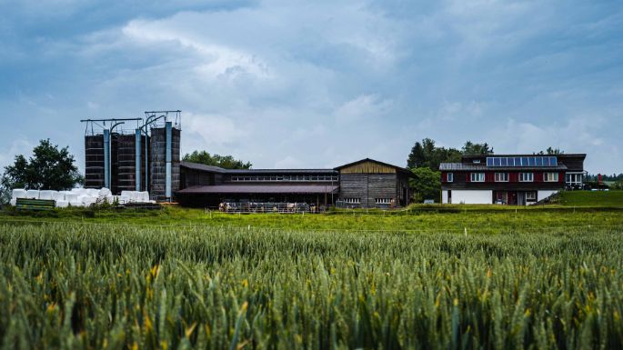 Hof Hopperen_Denzler_Nänikon_Hof