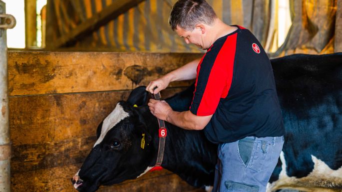 Hof_Ischmatt_Bühler_Thunstetten_Arbeit