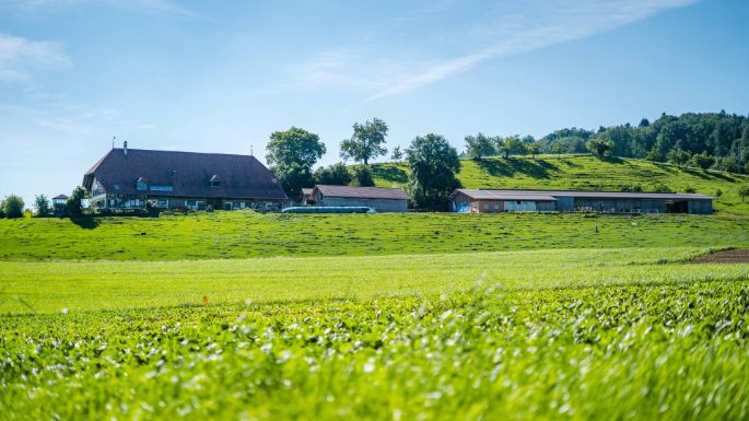 Hof_Lehmann_Lehmann_Hindelbank_Hof