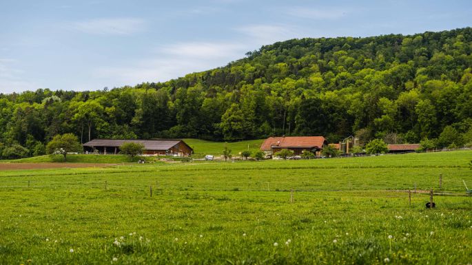 Hof Luder_Luder_Oftringen_Hof