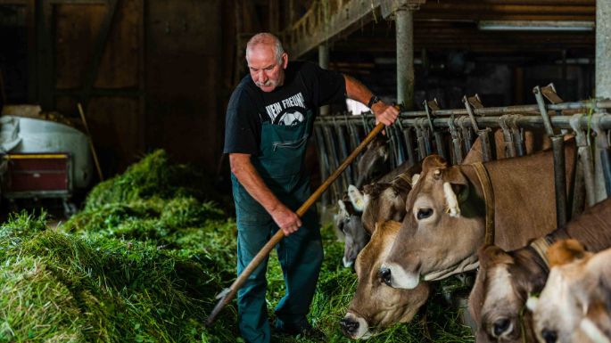 Hof_Matt_Bolliger_Schmiedrued_Arbeit