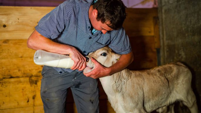 Hof_Meyer_Meyer_Knutwil_Arbeit