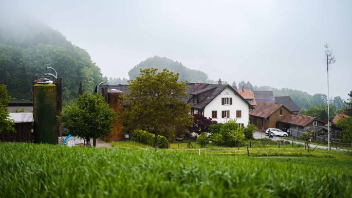 Hof Schenkel_Schenkel_Bergdietikon_Hof