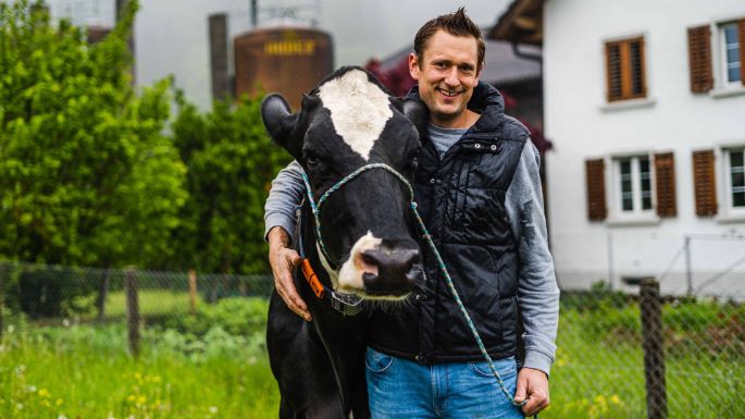 Hof Schenkel_Schenkel_Bergdietikon_Kuh