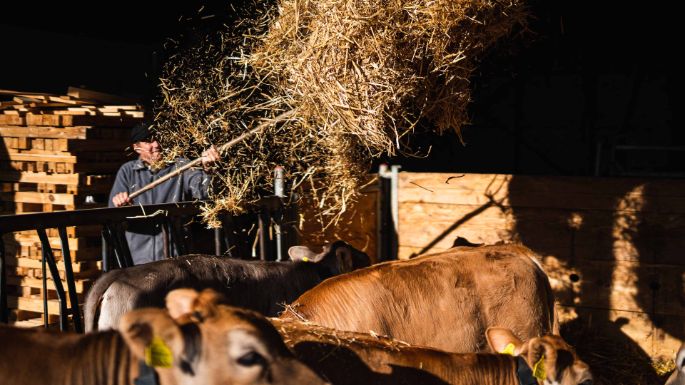 Hof Sidler_Sidler_Hagendorn_Arbeit1