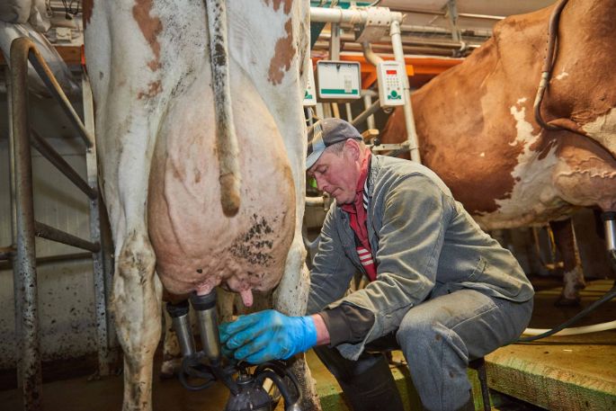 Hof Steller, Karin und Hansueli Schärer-Strebel, Glashütten_Stall_3
