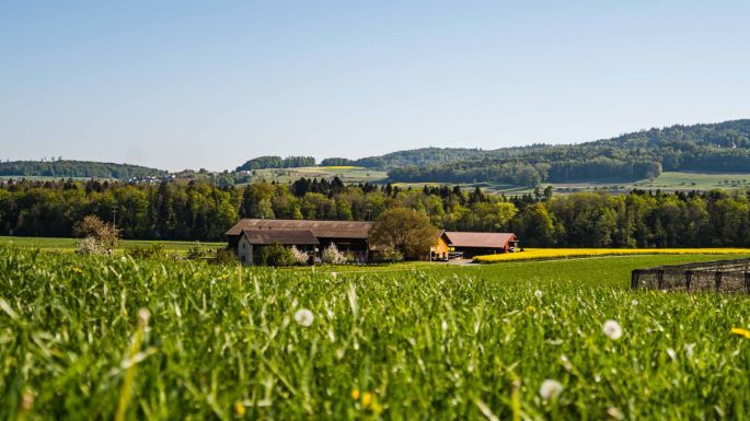 Hof Urech_Urech_Hallwil_Hof