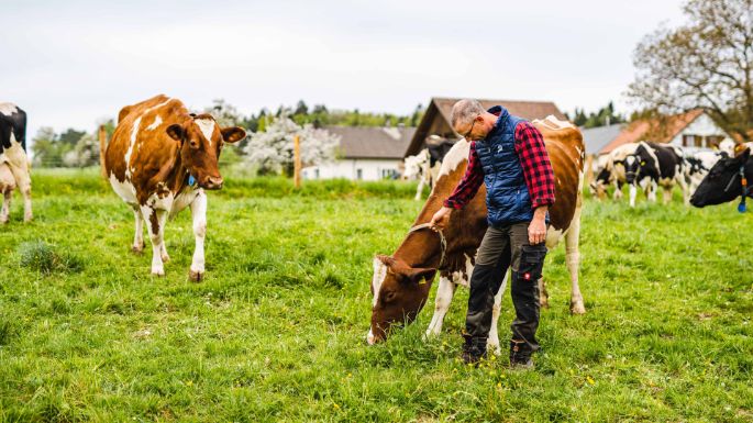 Hof_Ursprung_Knöpfel_Bözberg_Arbeit