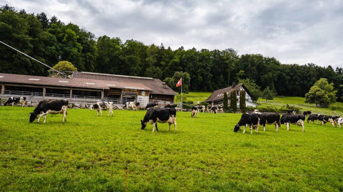 Hof Zollinger_Zollinger_Urdorf_Hof