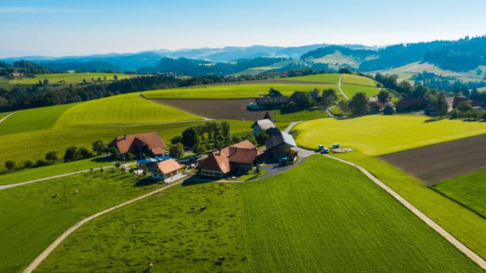 Hof_Zürcher_Zürcher_Dieterswald_Drohne