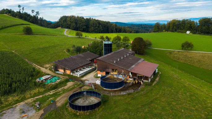 Honig_Blum_Roggliswil_Hof