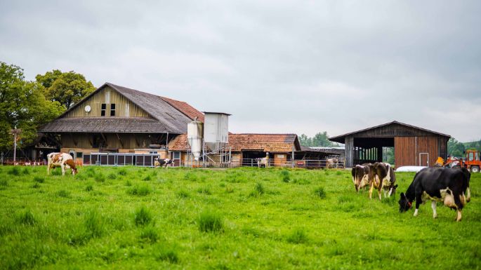 Huob_Bircher_Hagendorn_Hof