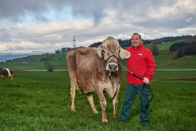 Im Lätten, Urs Köpfli, Islisberg_Ganzkörper mit Kuh