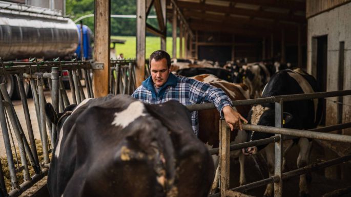 Kastelhof_Weilenmann_Niederhasli_Arbeit
