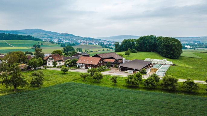 Kastelhof_Weilenmann_Niederhasli_Drohne