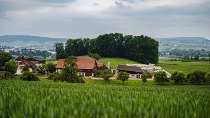 Kastelhof_Weilenmann_Niederhasli_Hof