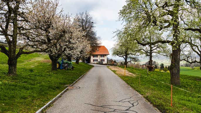 Landgut Widenmoos_Fischer_Winikon_Hof-2