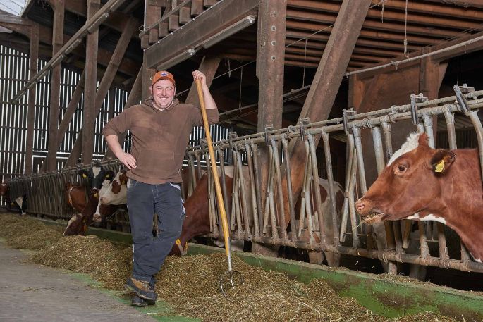 Langmatthof, Lukas Siegrist, Meisterschwanden_Stall