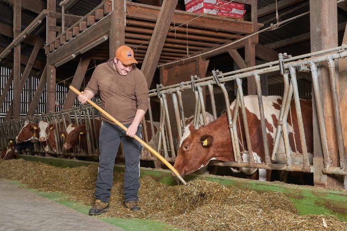 Langmatthof, Lukas Siegrist, Meisterschwanden_Stall_3