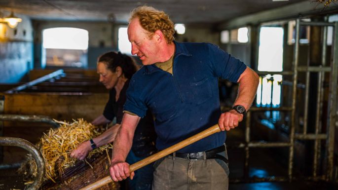 Lim-Val_Holstein_Kunz_Mülchi_Arbeit