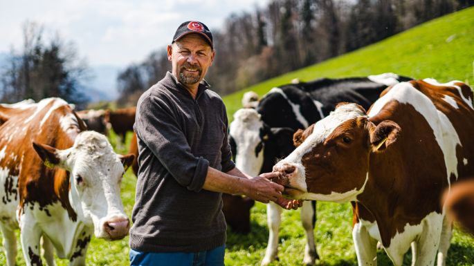 Lindenfeldweid_Unternährer_Luzern_Arbeit