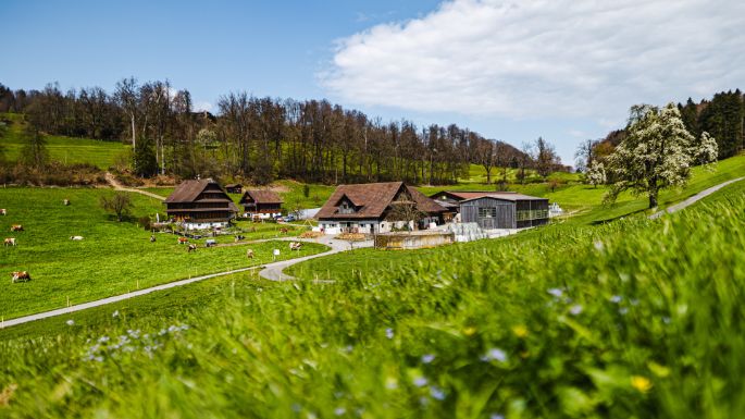 Lindenfeldweid_Unternährer_Luzern_Hof