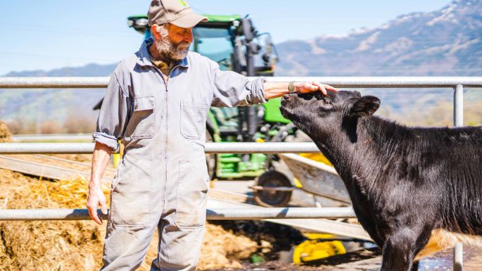 Linthmatt_Schmid_Bilten_Portrait_3