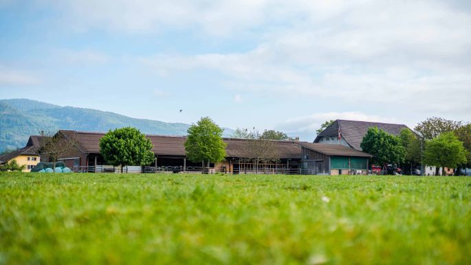 Lochmatthof_Klemens_Härkingen_Hof